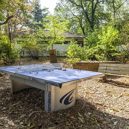 In Near Forest Casa vacanze