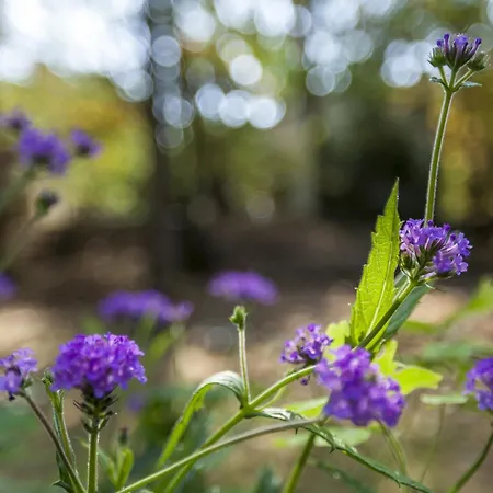 Holiday home In Near Forest Nunspeet