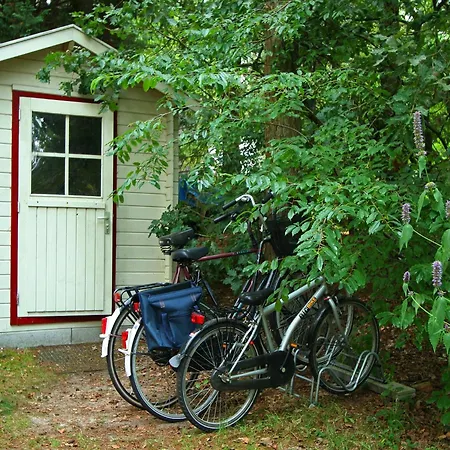Vakantiehuis In Near Forest