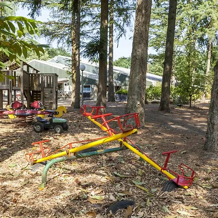 In Near Forest Nunspeet