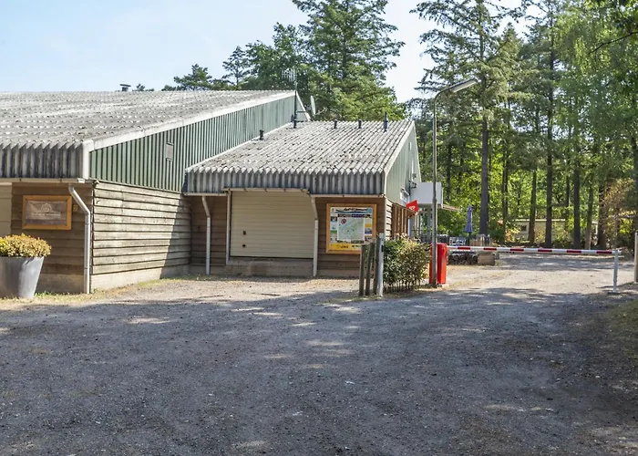 In Near Forest Нюнспет