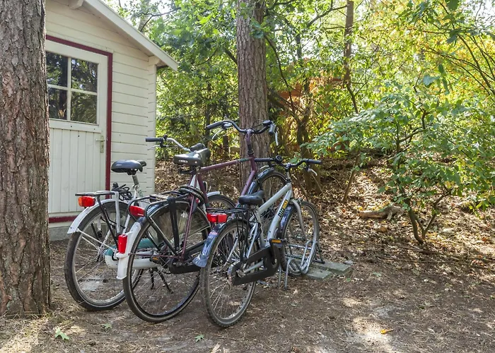 In Near Forest * Nunspeet