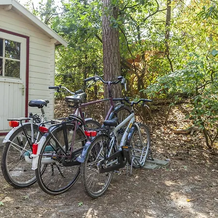 In Near Forest * Nunspeet