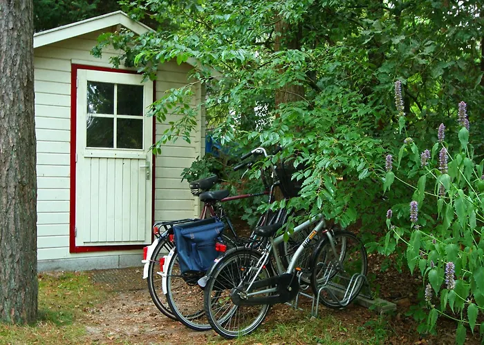 Casa de Férias In Near Forest