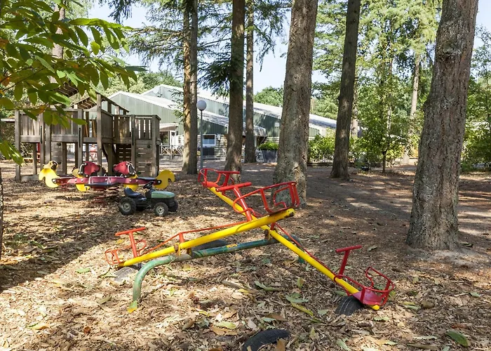 In Near Forest Nunspeet